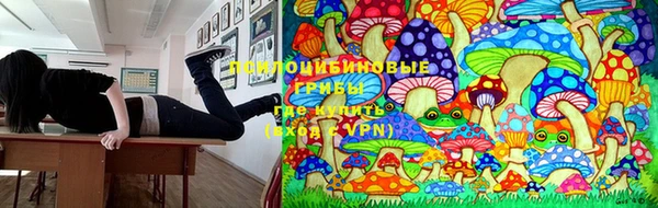 apvp Алексеевка