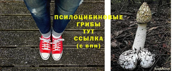 крисы Алзамай
