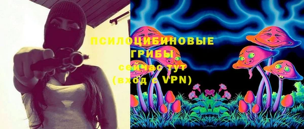 apvp Алексеевка