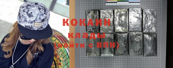 крисы Алзамай