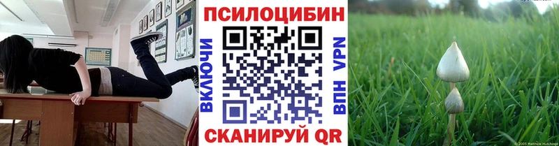 Псилоцибиновые грибы Psilocybine cubensis  Мураши 